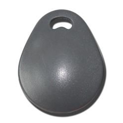 RFID TAG EM4200 Model 4 - grey, 125 kHz